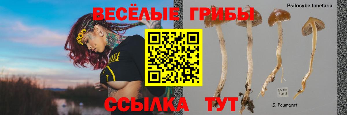 Галлюциногенные грибы Magic Shrooms Канаш